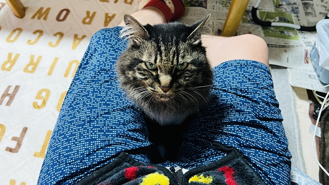 今日は飼い主のそばにいてやる!