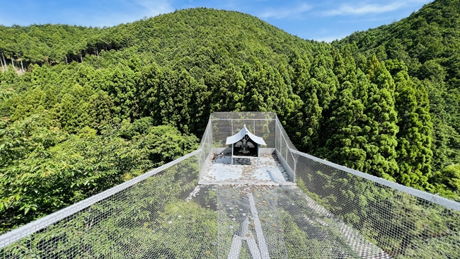 蛇だらけの神社に行ってみた 神秘的な蛇王神社に興味津々