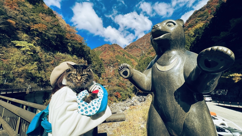 猫も、べふ峡の紅葉を楽しむぞ!