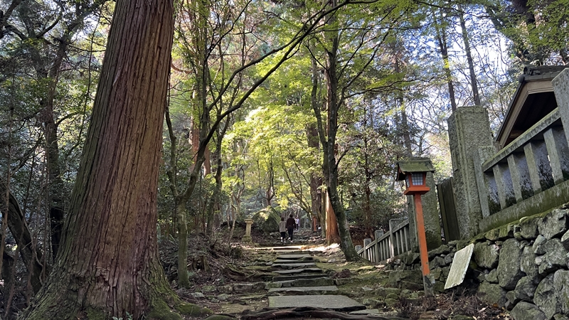 干支の切り絵 西山興隆寺に猫のトラちゃんが行くぞ!