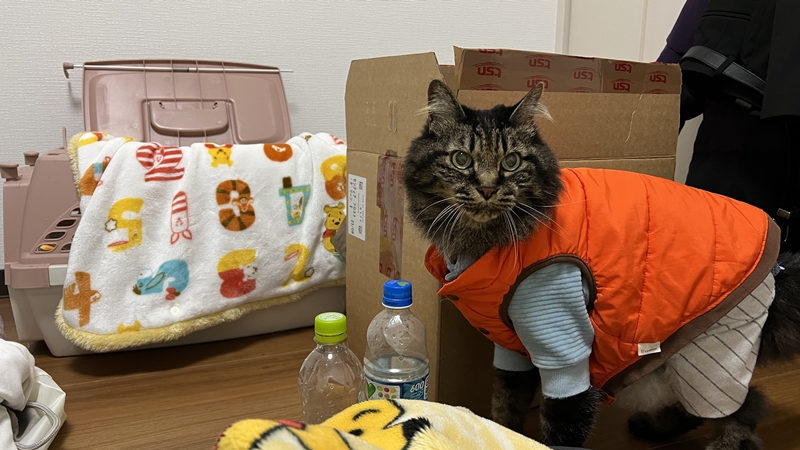 初のおねえちゃん宅にて・・・
