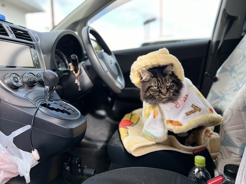 初のおねえちゃん宅にて・・・