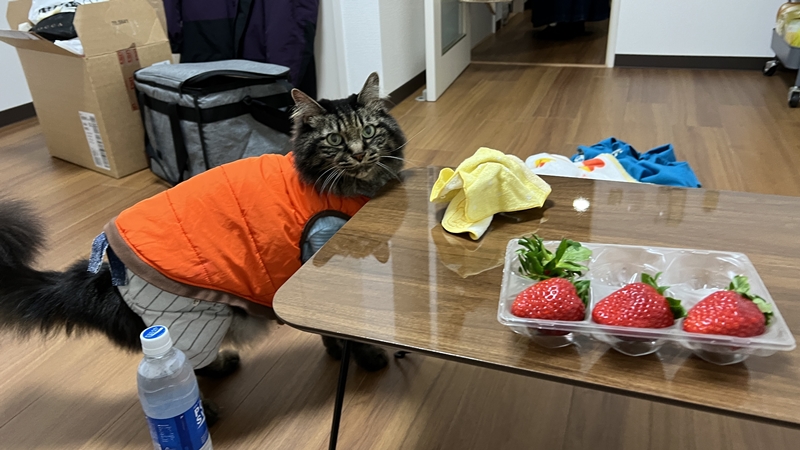 初のおねえちゃん宅にて・・・