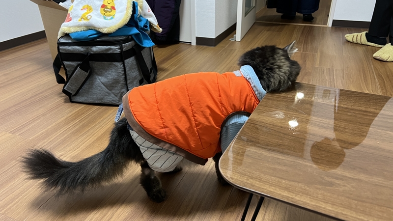 初のおねえちゃん宅にて・・・