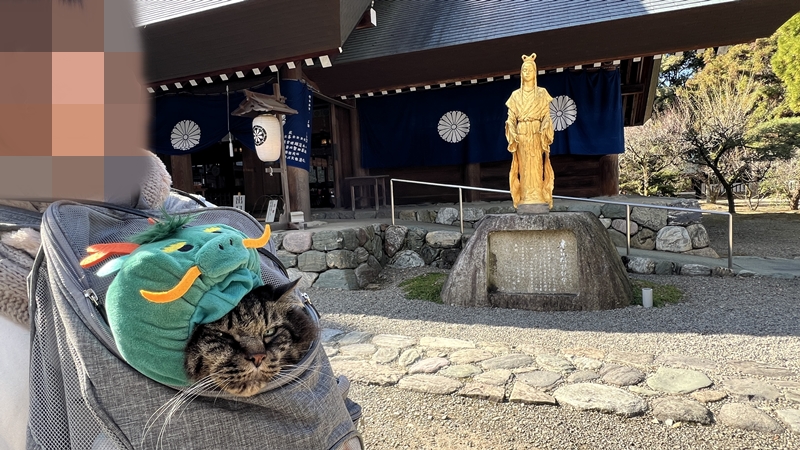 伊曽乃神社(いそのじんじゃ)に行ってみた!愛媛県のパワースポット