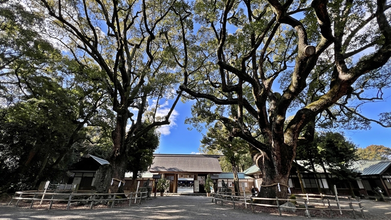 伊曽乃神社(いそのじんじゃ)に行ってみた!愛媛県のパワースポット