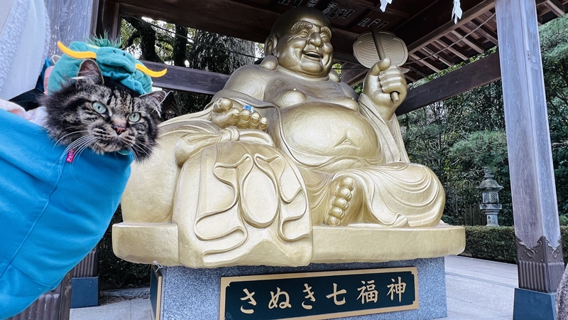 香川県の最強パワースポット! 田村神社の龍神像を見に行ったよ。