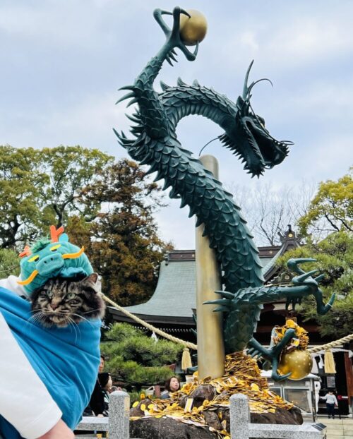 香川県の最強パワースポット! 田村神社の龍神像を見に行ったよ。