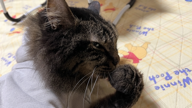 自動でテレビのチャンネルが変わるんだけどな~どうしてかな~