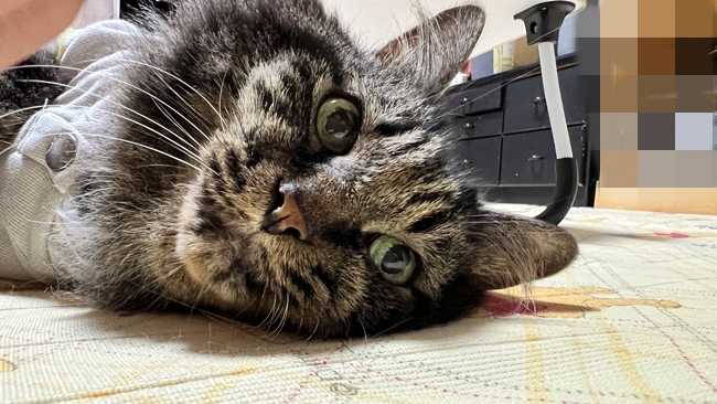 自動でテレビのチャンネルが変わるんだけどな~どうしてかな~