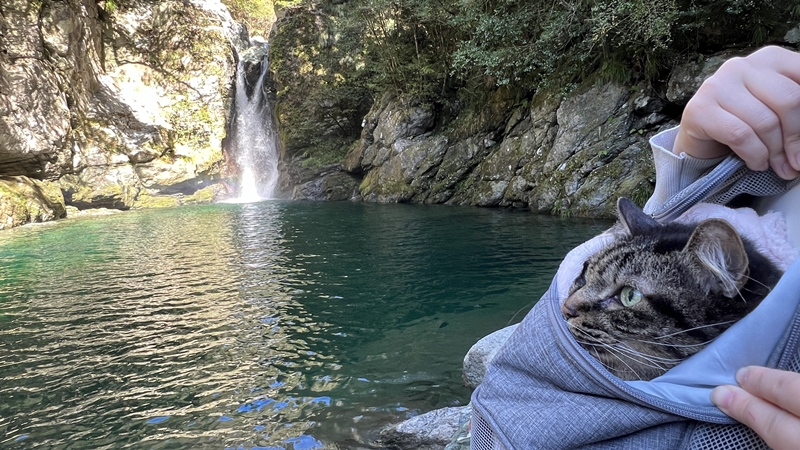 にこ淵に行ったら虹が見えたよ!仁淀ブルーで癒される