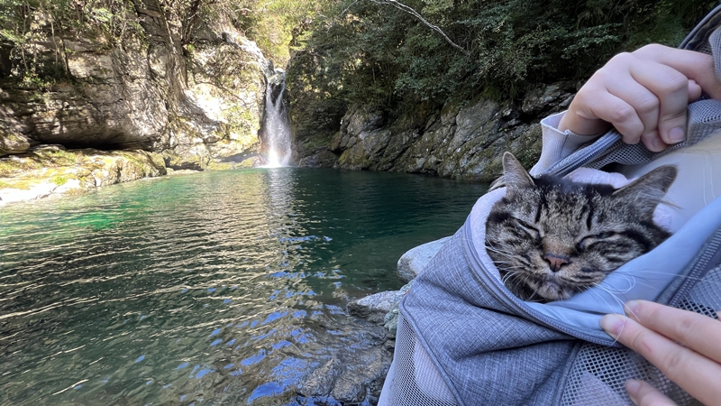 にこ淵に行ったら虹が見えたよ!仁淀ブルーで癒される