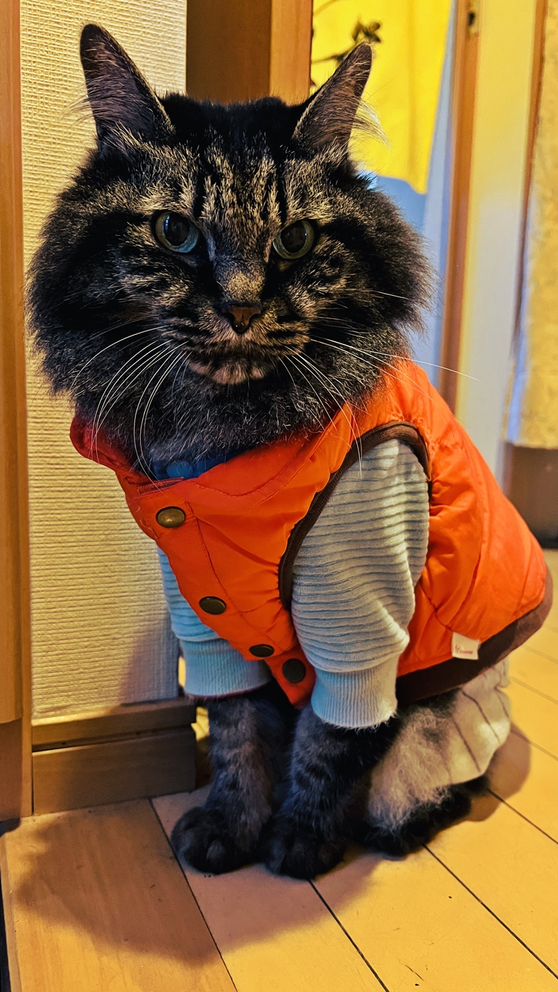 いまだにトラちゃんは冬仕様!?w もう5月ぜよ!?