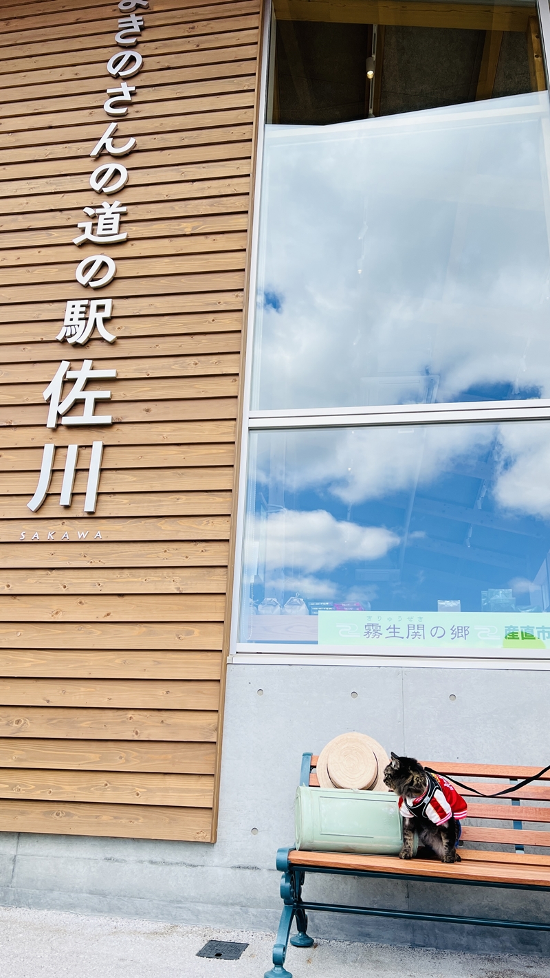 まきのさんの道の駅・佐川に猫のトラちゃんが行ってみた♪