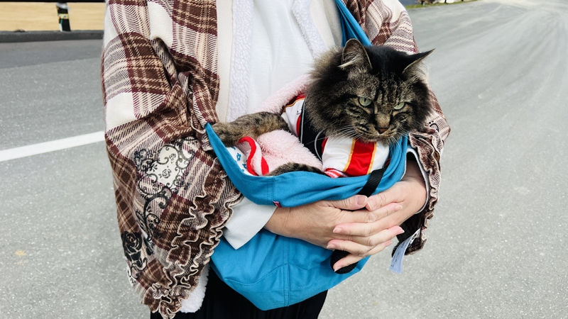 まきのさんの道の駅・佐川に猫のトラちゃんが行ってみた♪