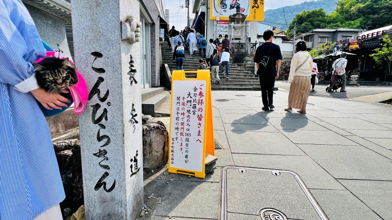 猫も「こんぴらさん」の785段の階段を登ったよ! ペットとおでかけ