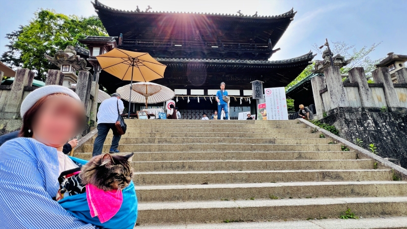 猫も「こんぴらさん」の785段の階段を登ったよ! ペットとおでかけ