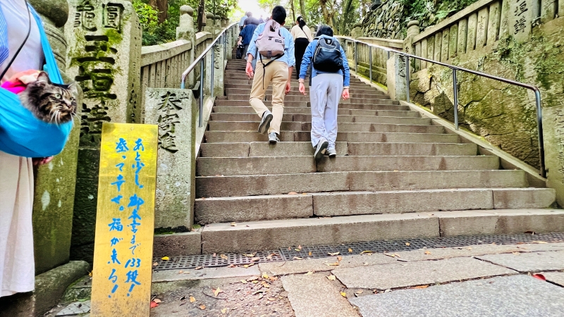猫も「こんぴらさん」の785段の階段を登ったよ! ペットとおでかけ