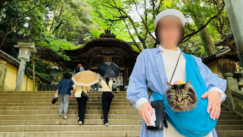 猫も「こんぴらさん」の785段の階段を登ったよ! ペットとおでかけ