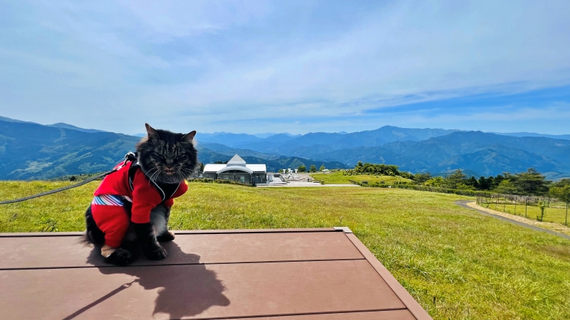 ゆとりすとパーク ペットと一緒に絶景と大自然をピクニックしながら満喫