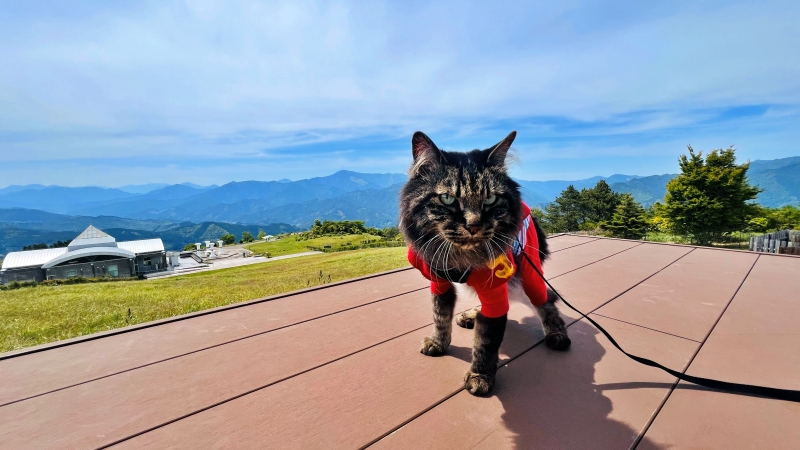 ゆとりすとパーク ペットと一緒に絶景と大自然をピクニックしながら満喫