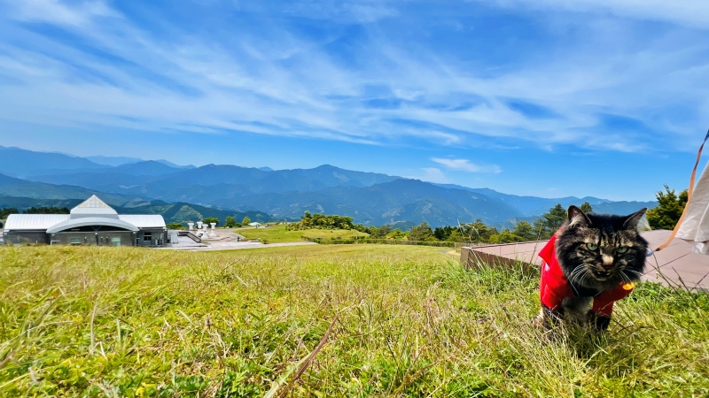ゆとりすとパーク ペットと一緒に絶景と大自然をピクニックしながら満喫