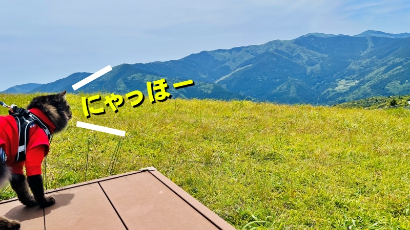ゆとりすとパーク ペットと一緒に絶景と大自然をピクニックしながら満喫