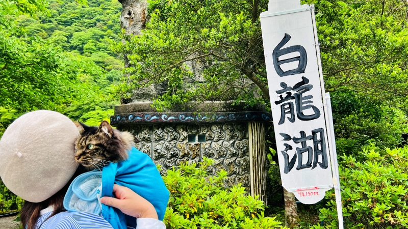 白龍湖 ペットも一緒に楽しめる 青く透き通った水が幻想的な高知の穴場スポット