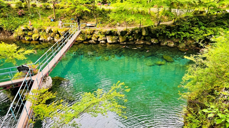 白龍湖 ペットも一緒に楽しめる 青く透き通った水が幻想的な高知の穴場スポット