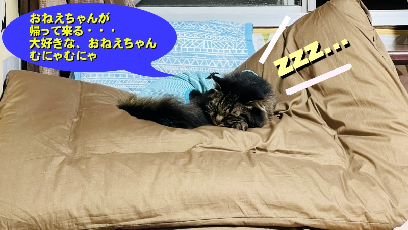 おねえちゃんが帰って来て、帰って行ったよ!あっと言う間のおねえちゃんの帰省