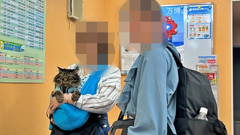 おねえちゃんが帰って来て、帰って行ったよ!あっと言う間のおねえちゃんの帰省