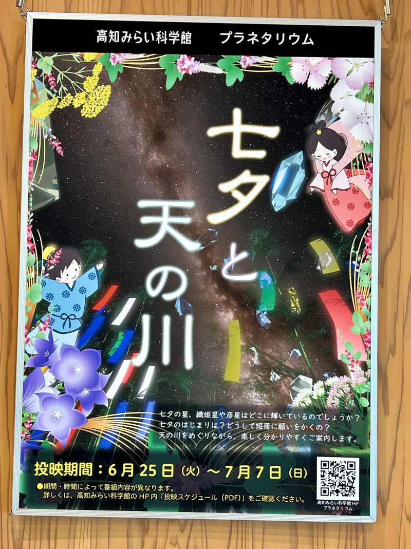 今日も暑い! こんな暑い日に飼い主は歩いてどこかにお出かけ!