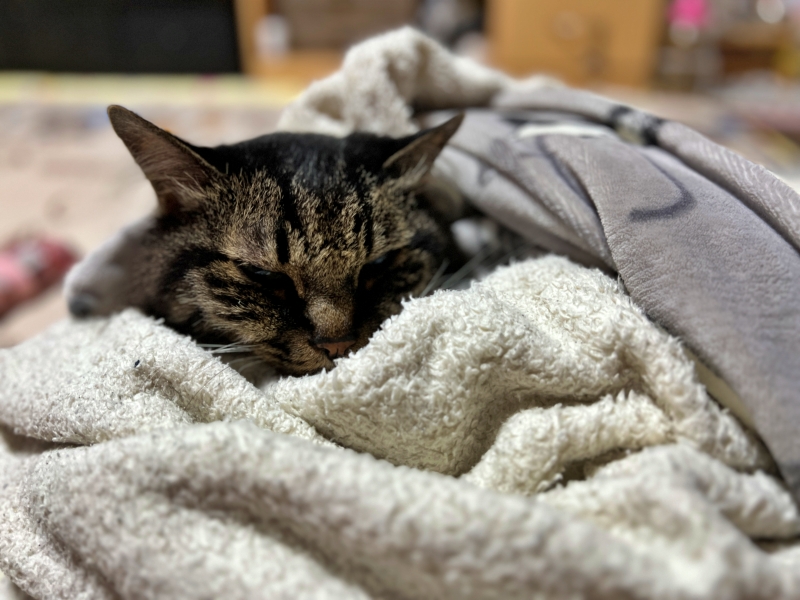 もう終わったのか? 一瞬だったような気がするけど気のせいか?w うん!勘違いっす!