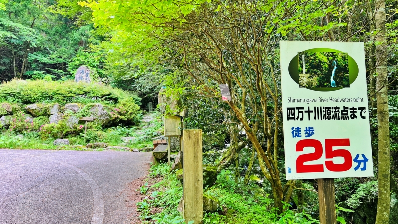 四万十川源流点を目指して行ったけど。トラちゃん!これは行けるのか?? 猫とドライブ