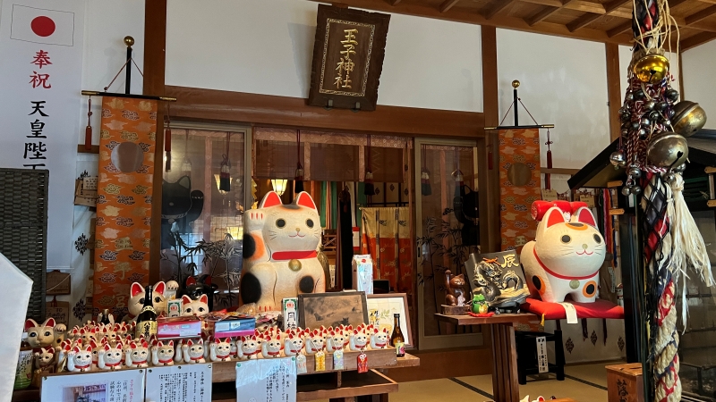 王子神社には可愛い猫ちゃんがいっぱいいます 御朱印も大人気 徳島市