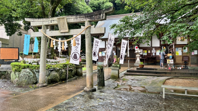 王子神社には可愛い猫ちゃんがいっぱいいます 御朱印も大人気 徳島市