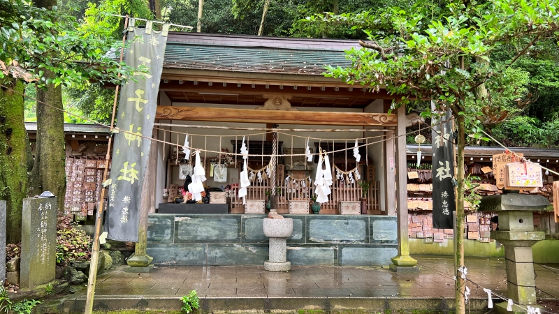 王子神社には可愛い猫ちゃんがいっぱいいます 御朱印も大人気 徳島市
