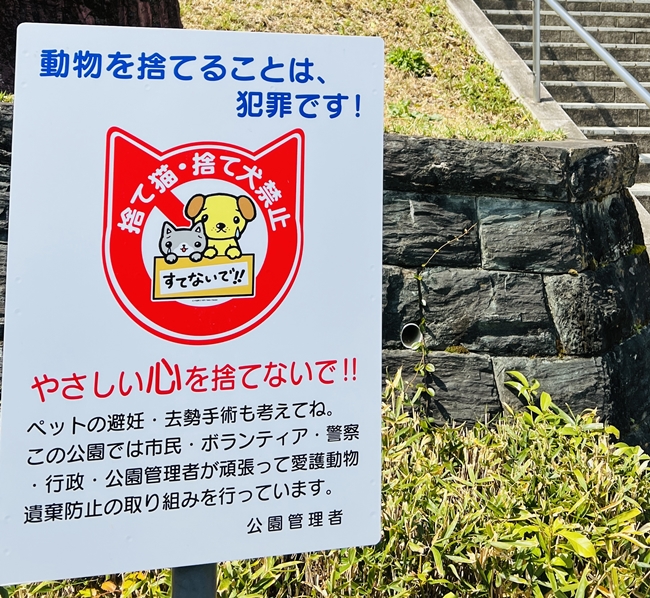 王子神社には可愛い猫ちゃんがいっぱいいます 御朱印も大人気 徳島市