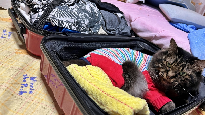どうしてもついて行きたい!意地でもここを死守!