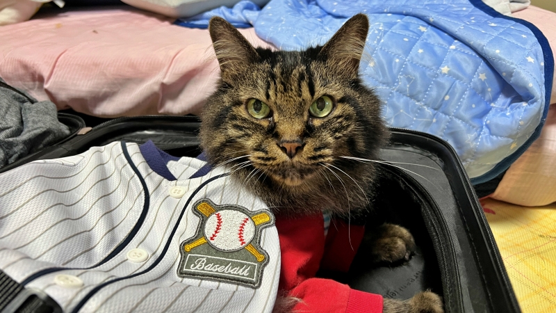 今年は監督風に! どう??似合う? 高校野球始まったよ~