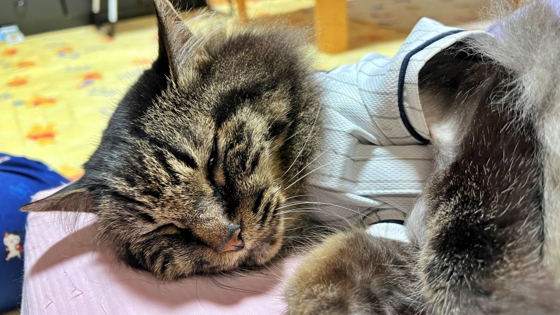 今年は監督風に! どう??似合う? 高校野球始まったよ~