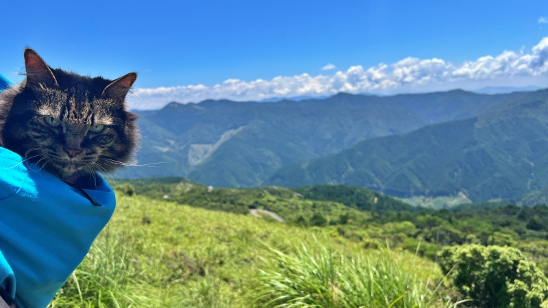 梶ヶ森の山頂にペットと一緒に涼みに行ってみました