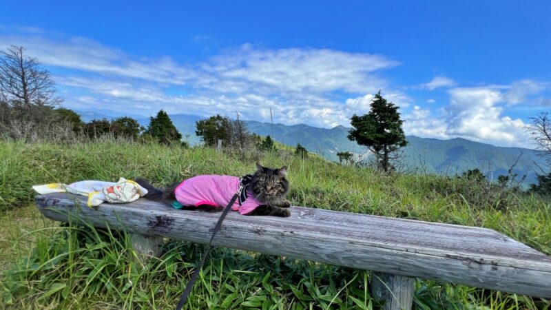 梶ヶ森の山頂にペットと一緒に涼みに行ってみました