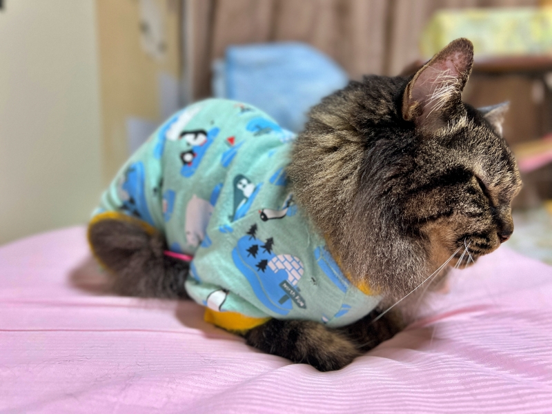 いつもより多めに伸びてま~~す! もう~早く夏終わってよ~ 台風過ぎたのに暑い!