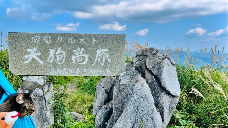 四国カルスト天狗高原 今年もペットと一緒に行ってきたぞ~ 夏の恒例ドライブ