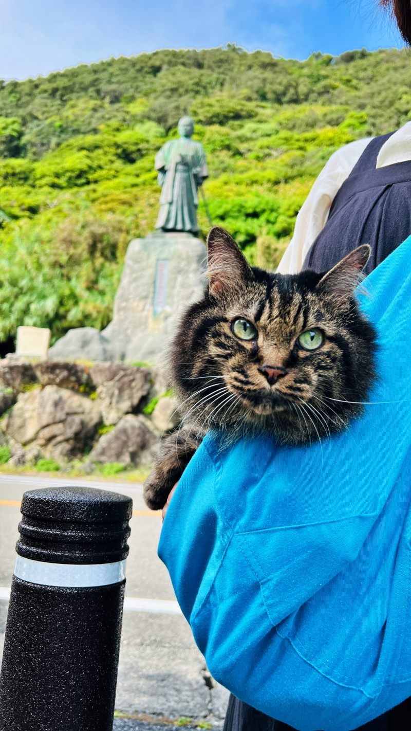 猫とキンメダイぬいぐるみ ペットと一緒に室戸岬周辺をドライブ
