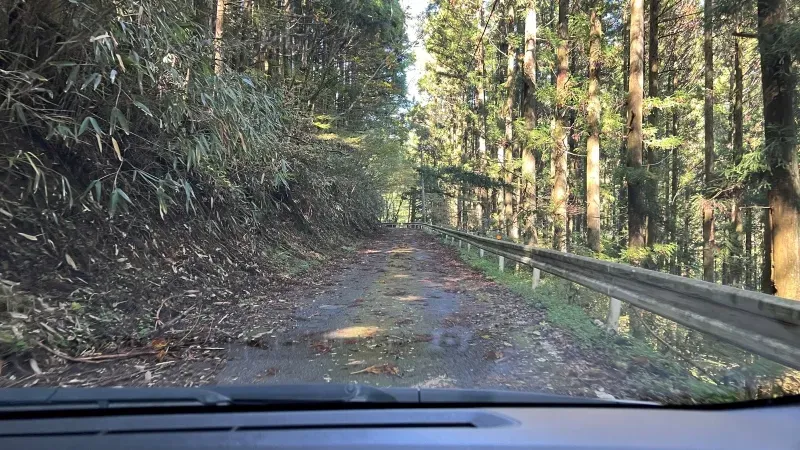 小田深山渓谷 ペットと紅葉を見に秋のドライブを楽しみました。