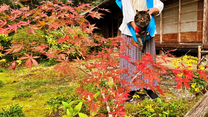 定福寺 紅葉の人気スポット ペットと秋のおでかけドライブ