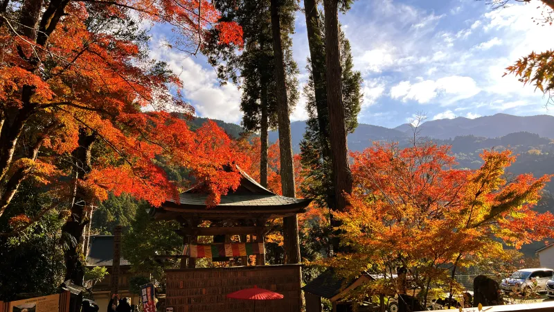 定福寺 紅葉の人気スポット ペットと秋のおでかけドライブ