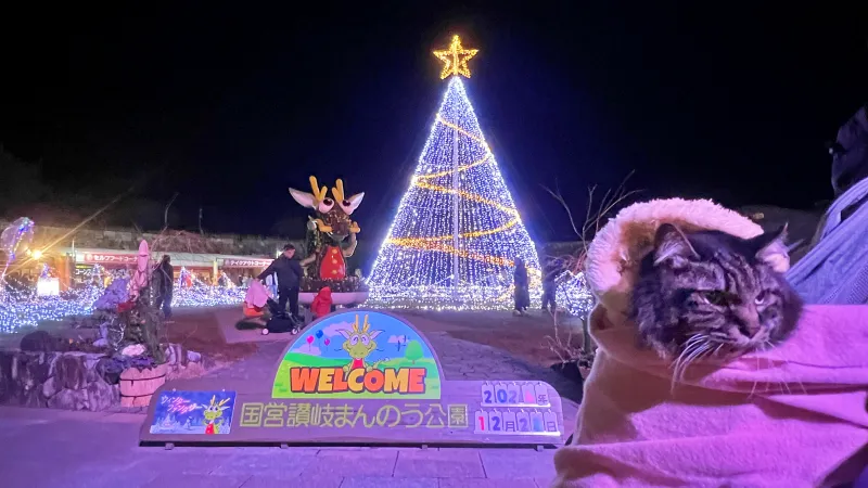 ペットと楽む まんのう公園 冬のイルミネーション トラちゃんも毎年行きます!